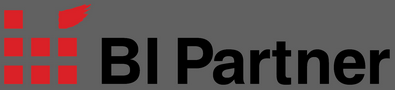 BI Partner Logo